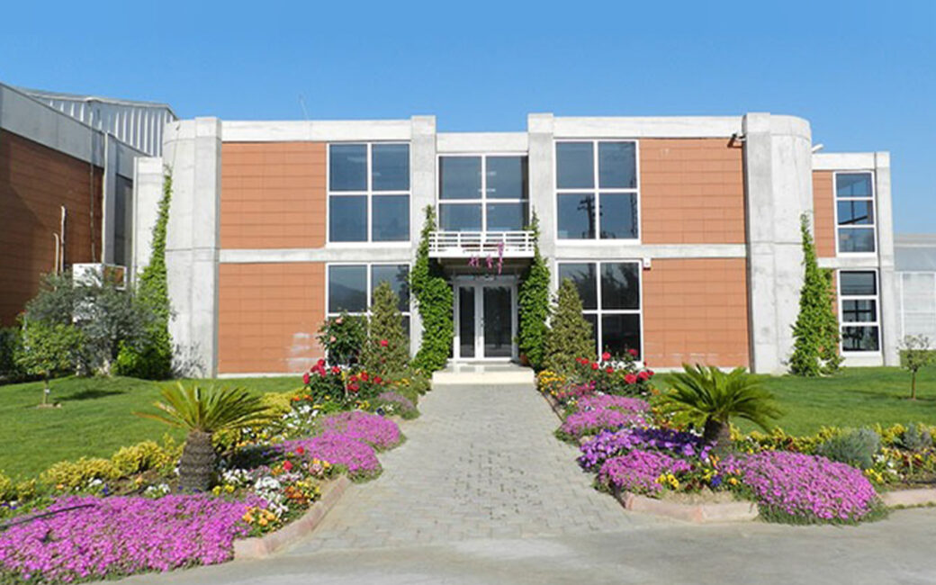 Cay Grup Tarım Sahipliği ve Ekonomi Üzerindeki Etkileri [2026] - Kapak Görseli